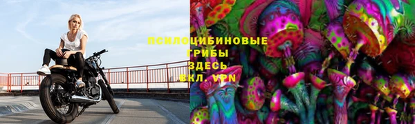 СК Осташков